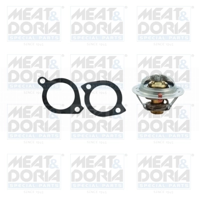 Thermostat, coolant